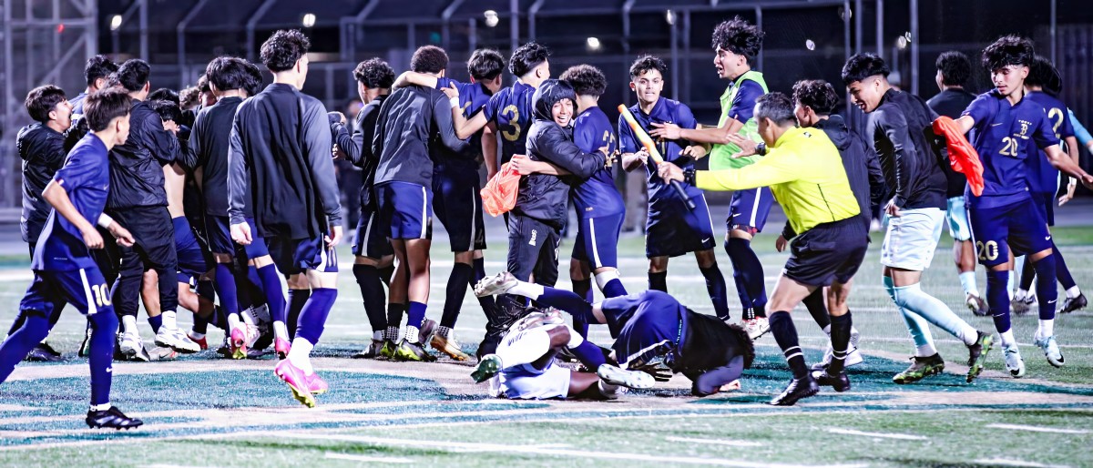 city-section-soccer-fight